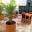 La Cultura Suites - Avenida Quinta