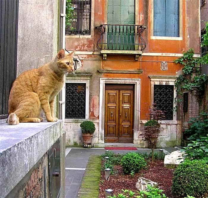 Ca' Angeli
