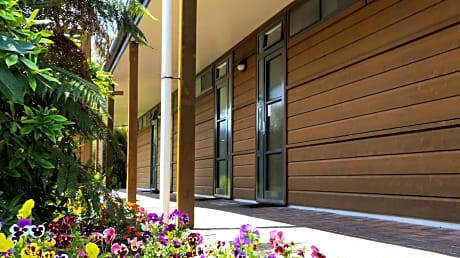 Studio Mountain View