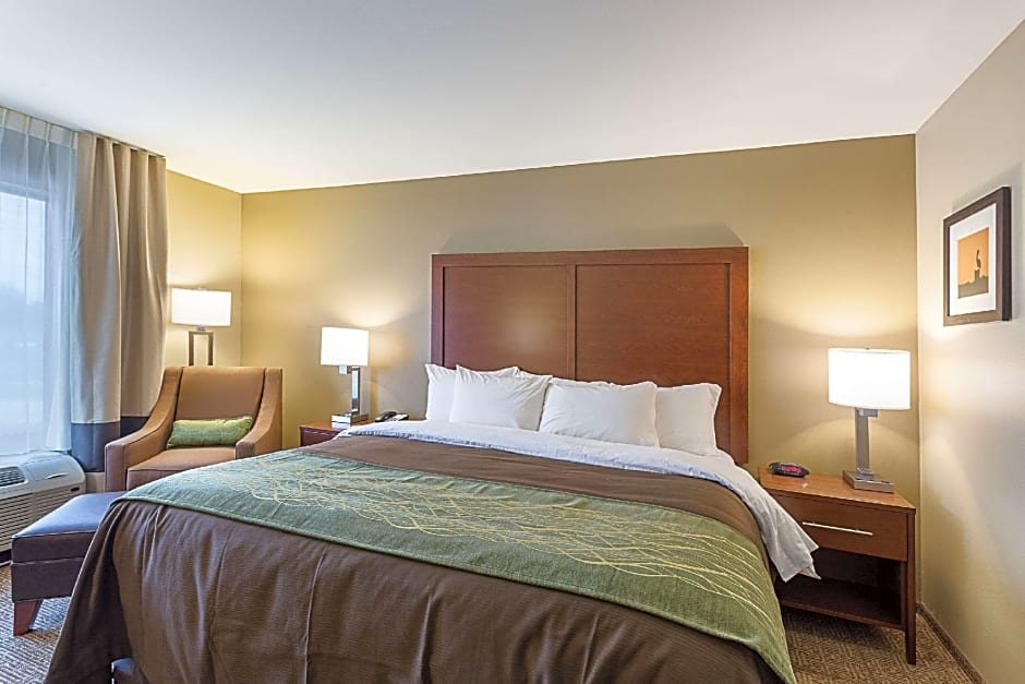 Comfort Inn & Suites Zachary