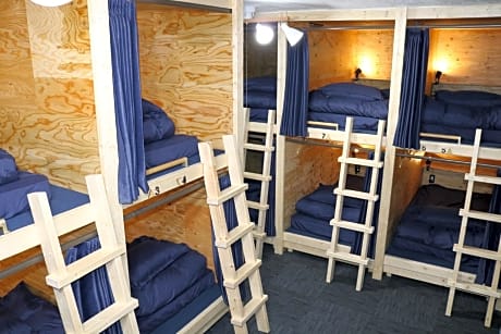 Superior Bunk Bed in Mixed Dormitory Room