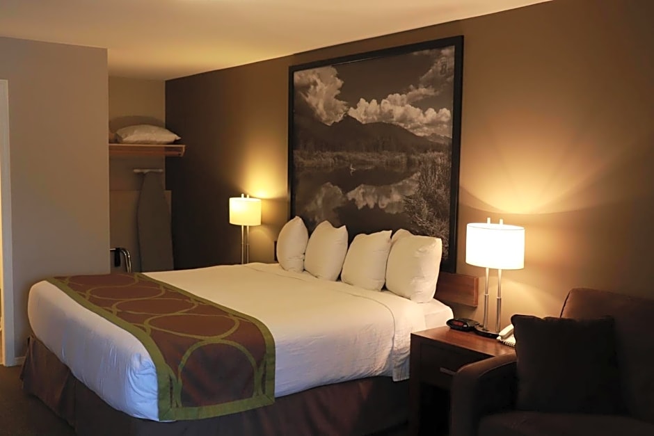 Super 8 by Wyndham Courtenay