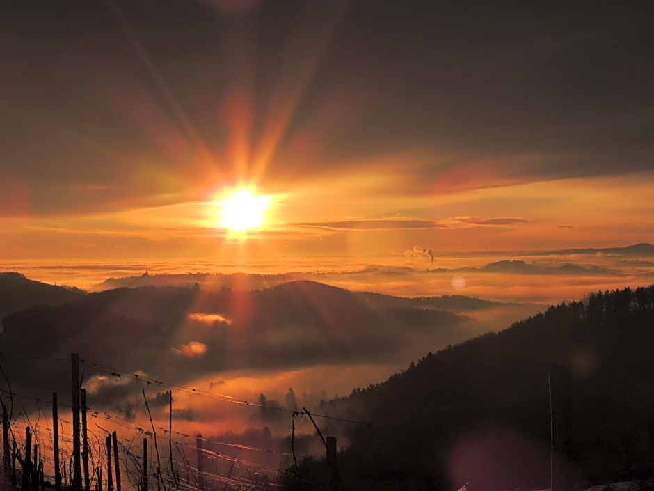 Weingut Albert, Familie Cramer