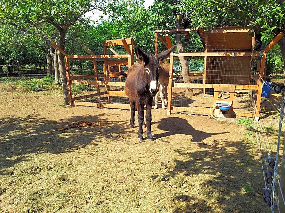 hiresicily - Casale della Pergola