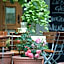 Gasthaus zur Sonne