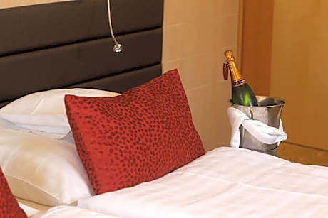 Superior Single Room