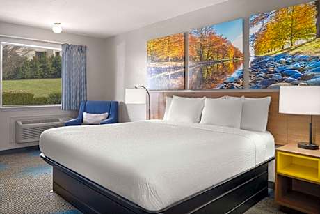 1 King Bed Non-Smoking