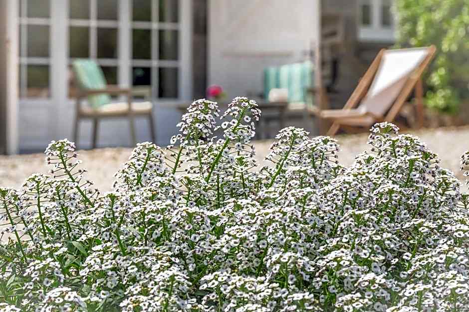 B&B Clerval - Maison d'hôtes et Gîtes