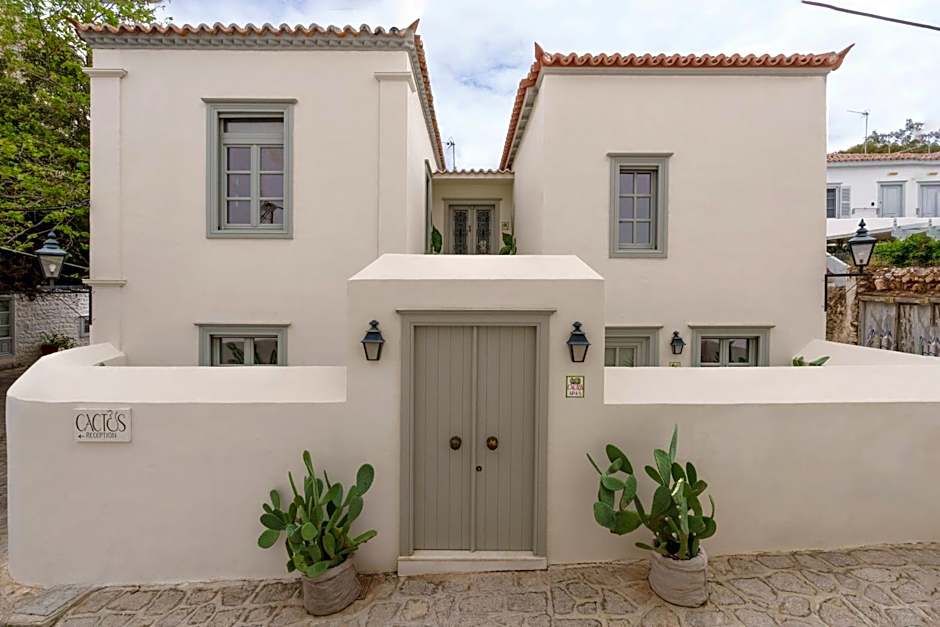 Cactus Hydra - Art Apartments