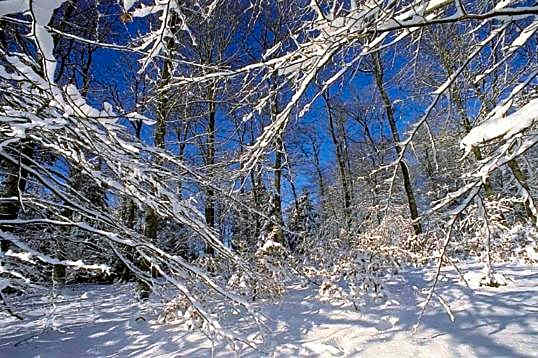 Vakantiepark Wilhelm Tell Vakantieappartement