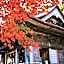 momijigawa onsen
