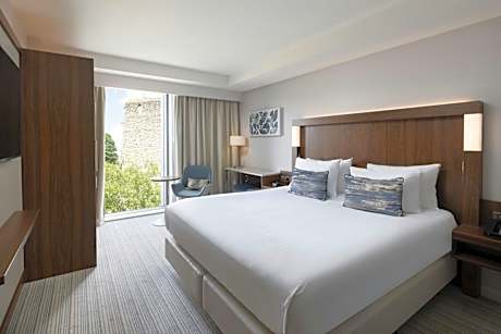 King Room with Castle View