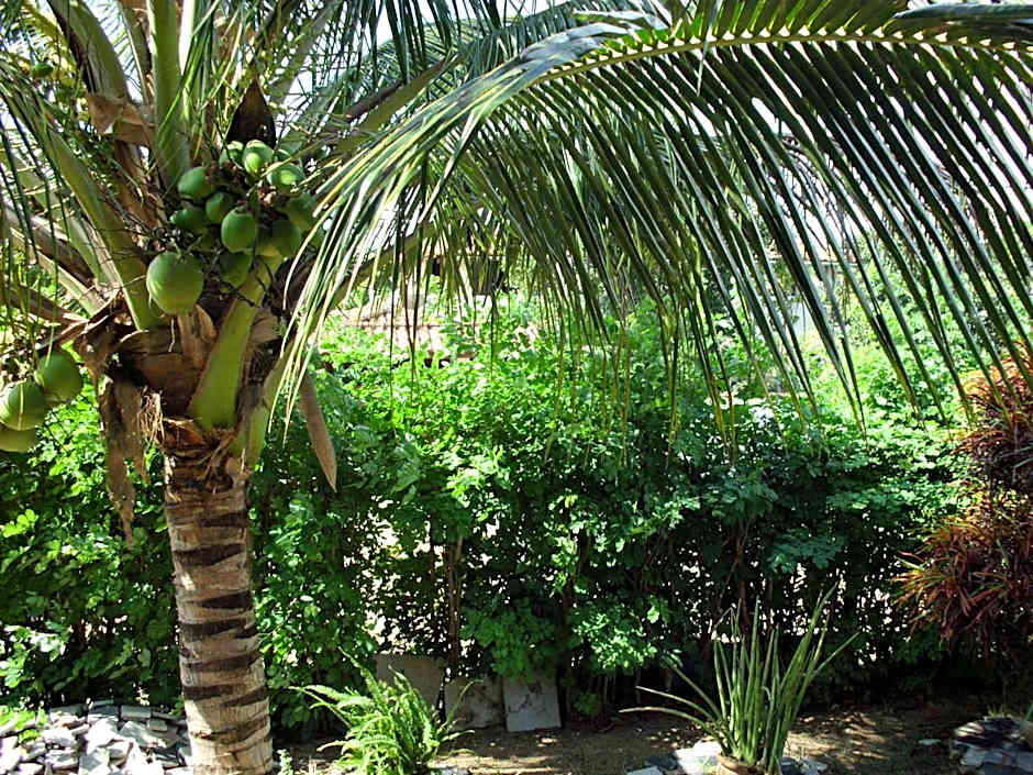 Pousada Pimenta Rosa