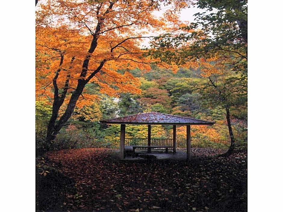 Oyasukyo Onsen Ryokan Tarobee - Vacation STAY 56764v