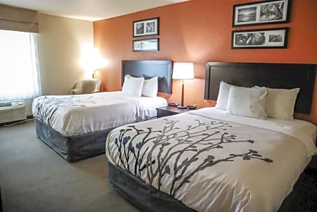 Queen Room with Two Queen Beds - Accessible/Non-Smoking