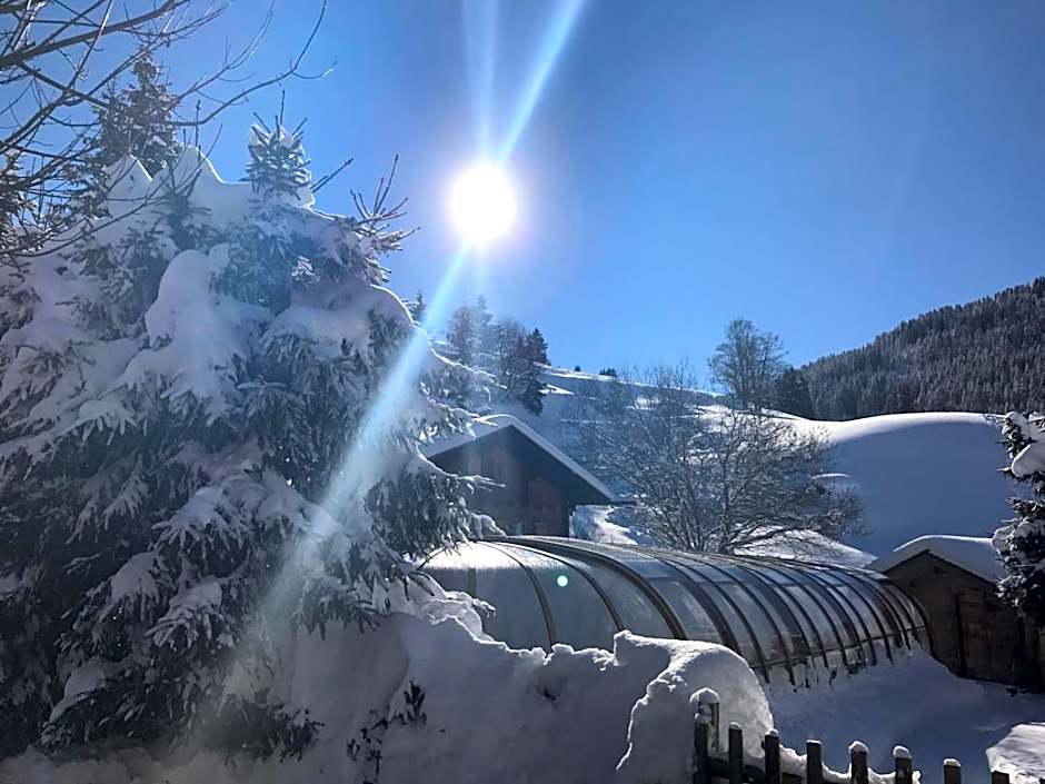 Hôtel Chalet Alpage