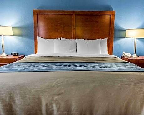 1 King Bed, Business Room, Nonsmoking