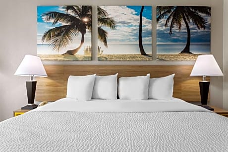 1 King Bed Non-Smoking