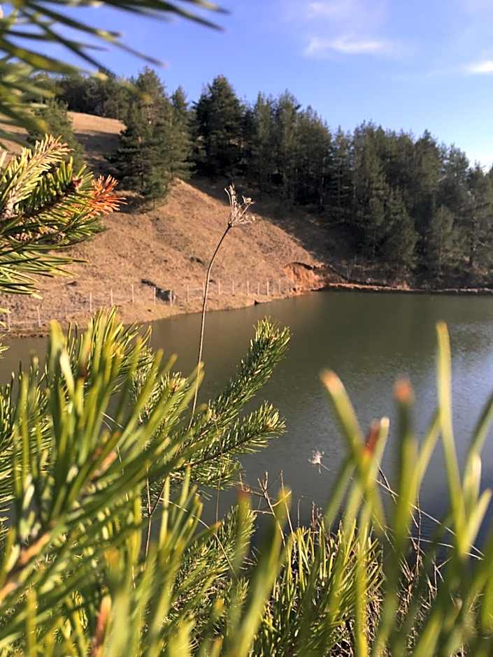 Park Hotel Eagle Stone