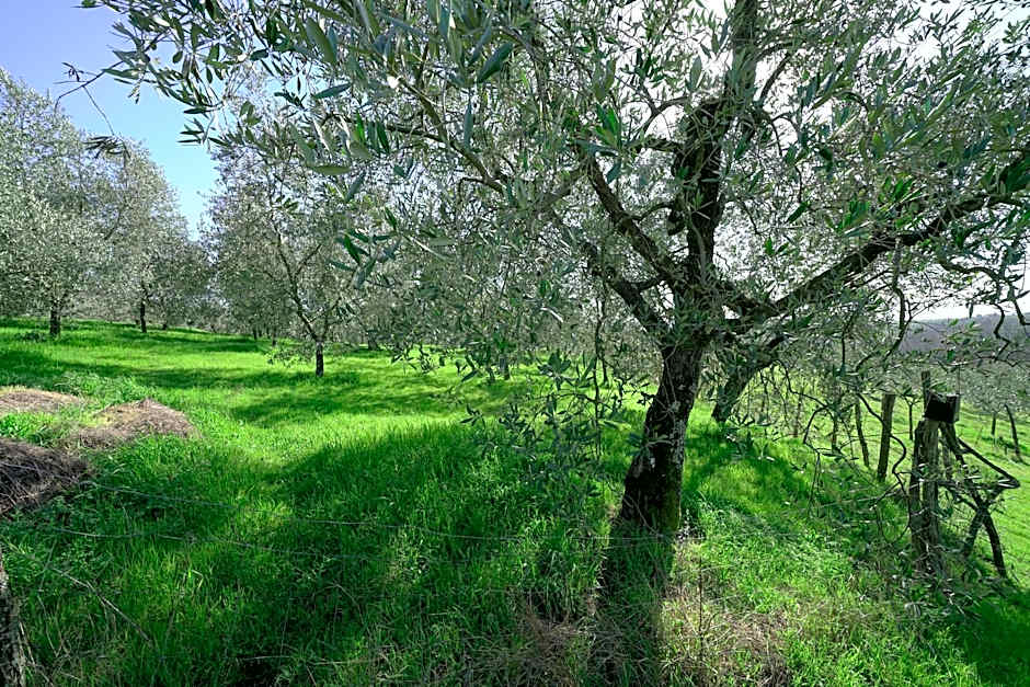 il Podere La Casina