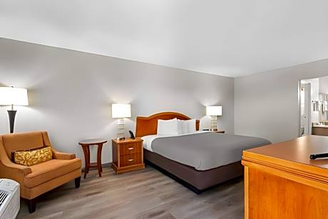 1 King Bed Nonsmoking
