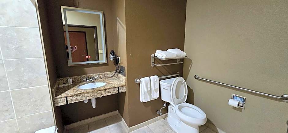 Microtel Inn & Suites By Wyndham Pleasanton