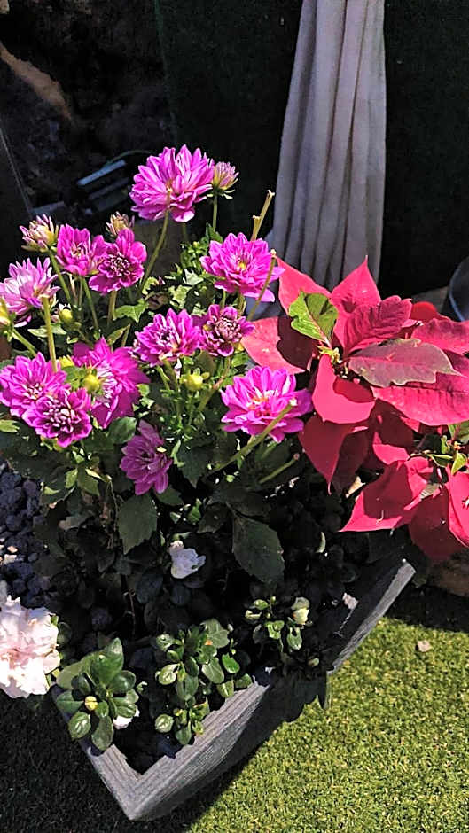 Hotel Rural La Raya 1866