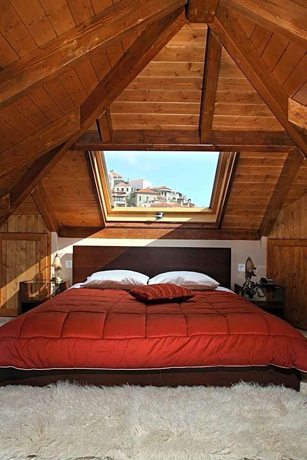 Rigas Hotel Arachova