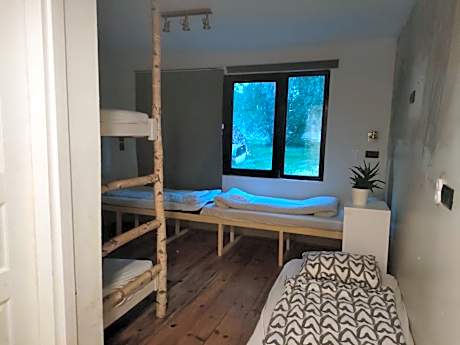 Single Bed in Mixed Dormitory Room