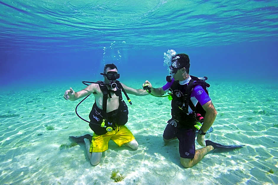 Allegro Cozumel - All Inclusive Resort