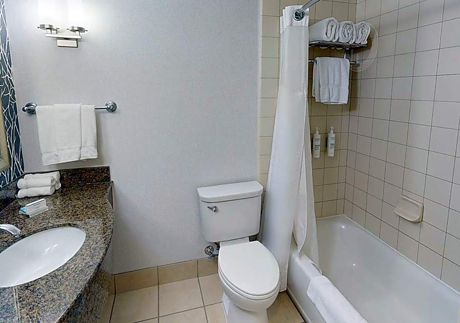 Hilton Garden Inn Detroit Novi