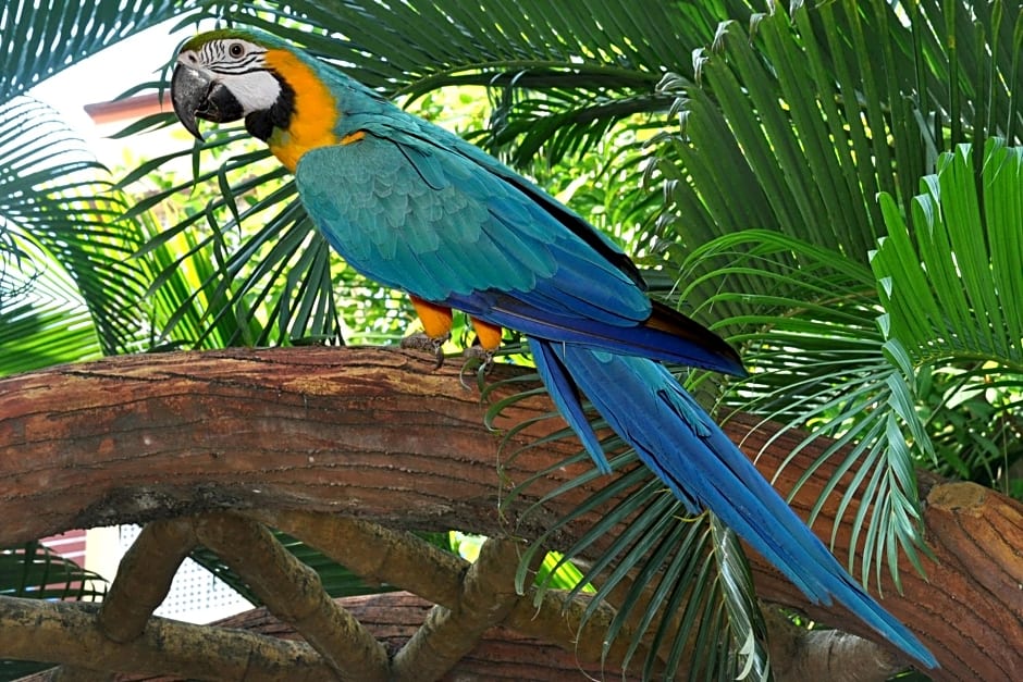 HOTEL SAIPALKHI NIWARA