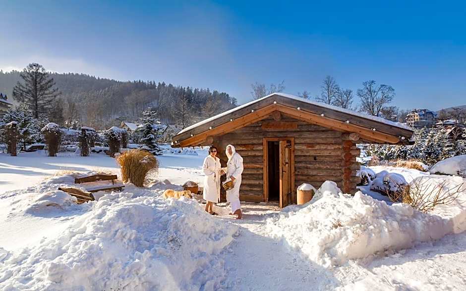 Alpejski Boutique Hotel