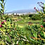 Apartment Fairways Club