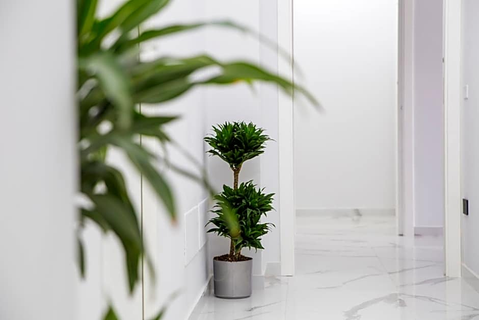 Maison de Julia Pompei