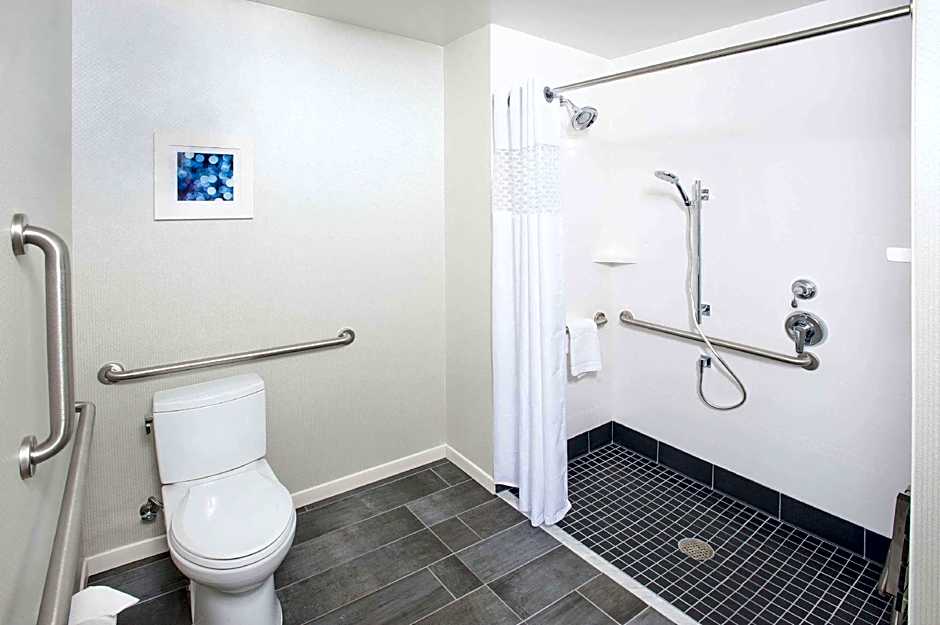 Photo 1 of 2 of 1 King Bed with Sofabed, Mobility Accessible, Roll in Shower