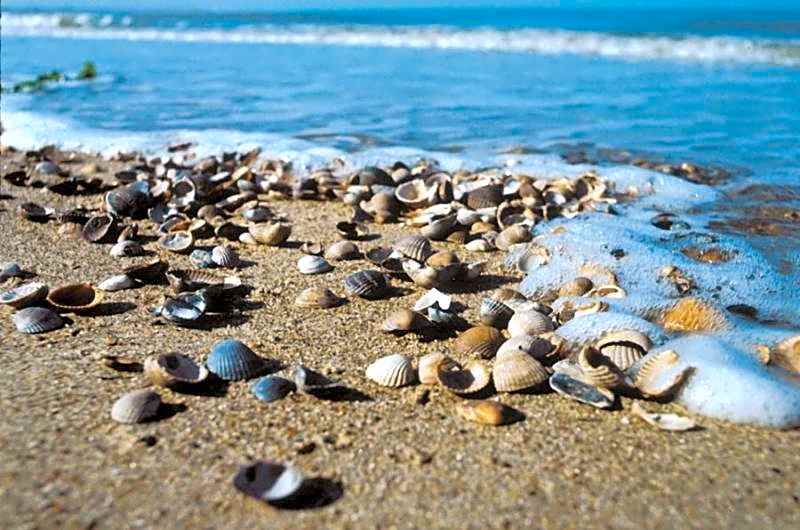 Duinberk B&B hotel en Brasserie