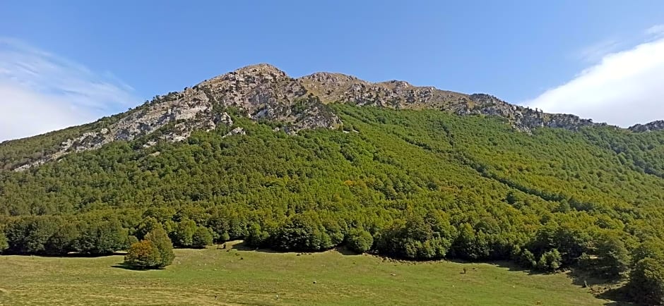 B&b il campanile di leone Pina