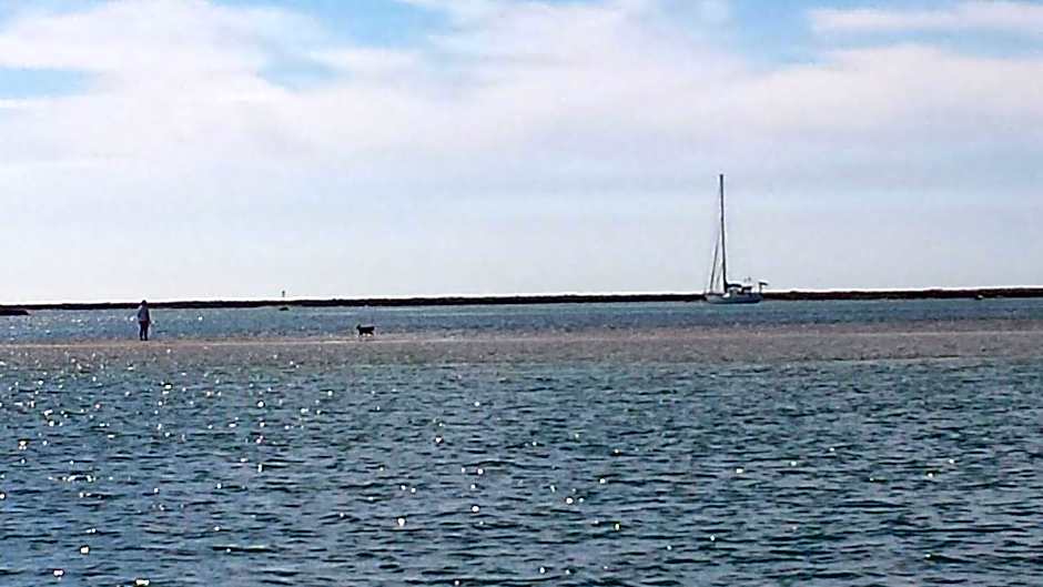 Hostel A Casa da Árvore