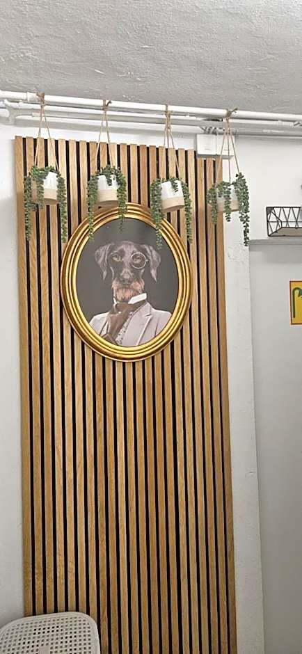 Viktoria Budget Hostel