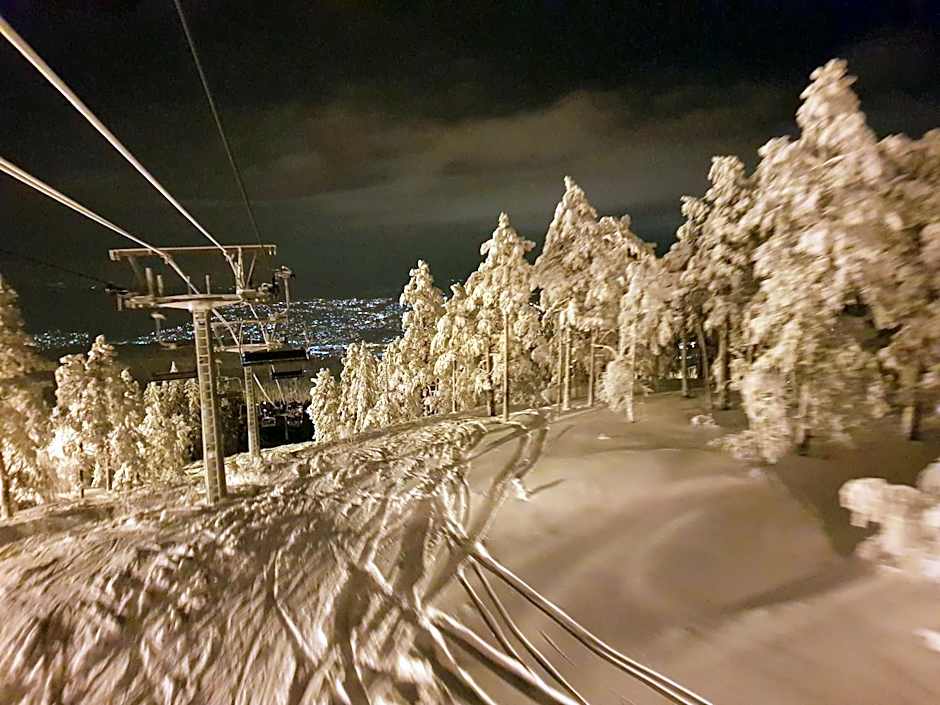 Kongsberg Hostel-Vandrerhjem
