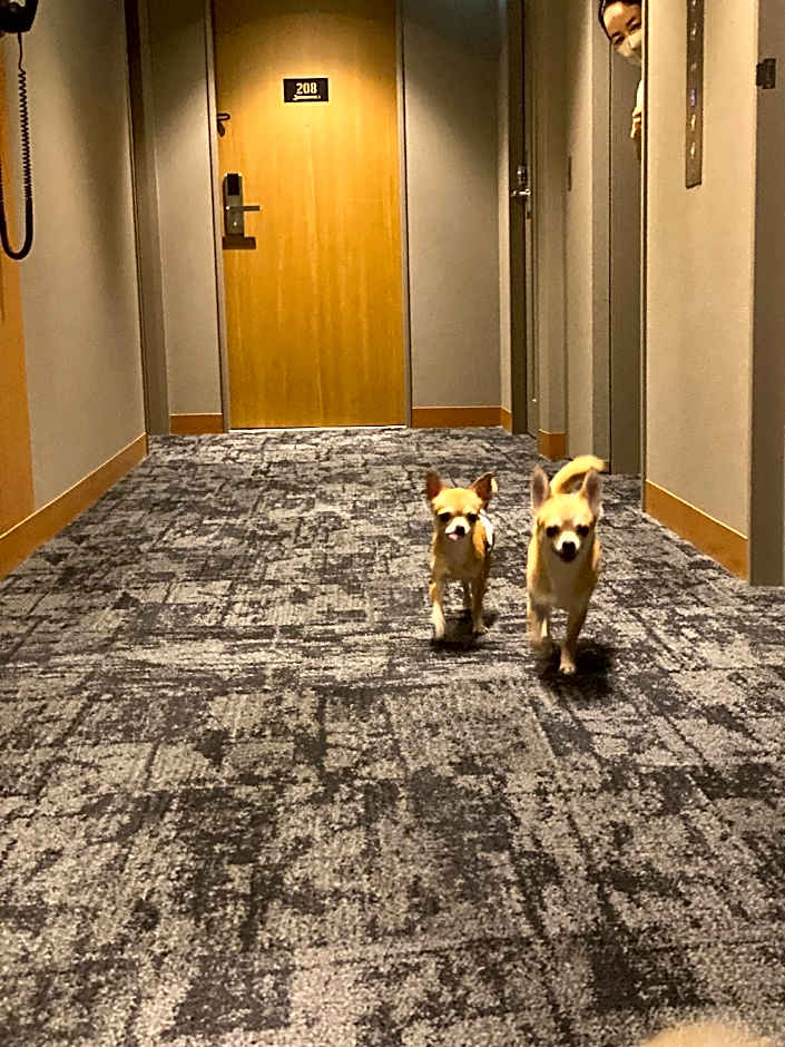 ICI HOTEL Asakusabashi