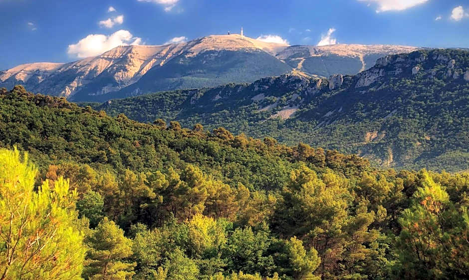 Le Nesk Ventoux - Hotel