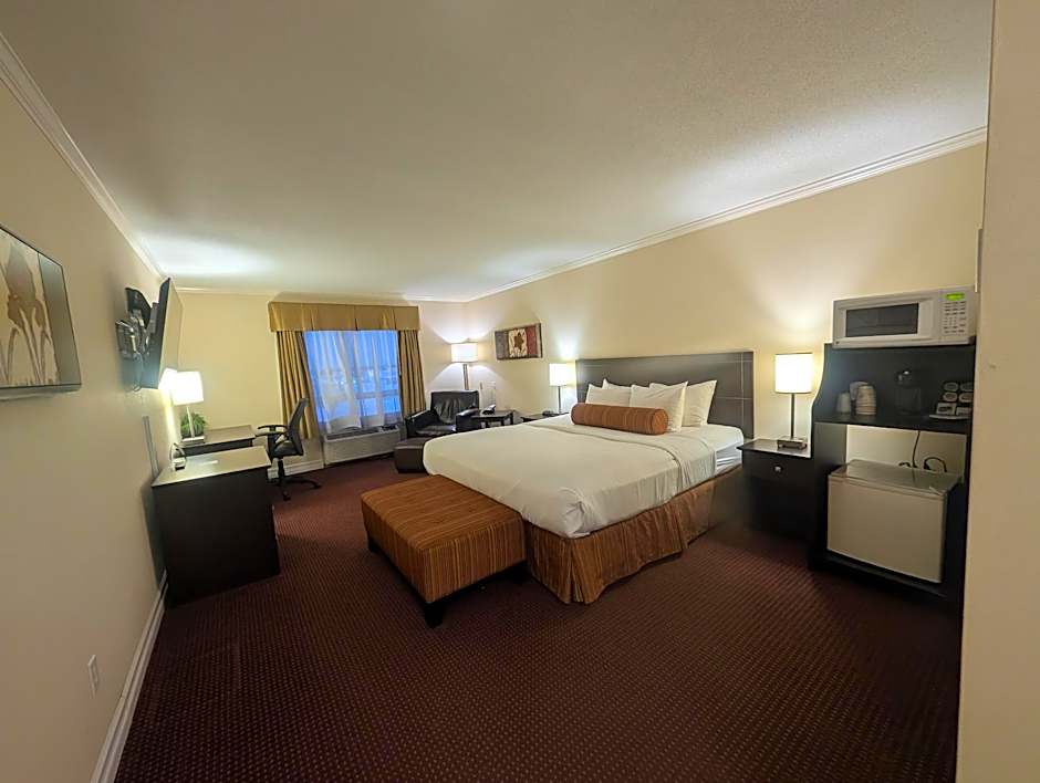 Best Western Swan Castle Inn