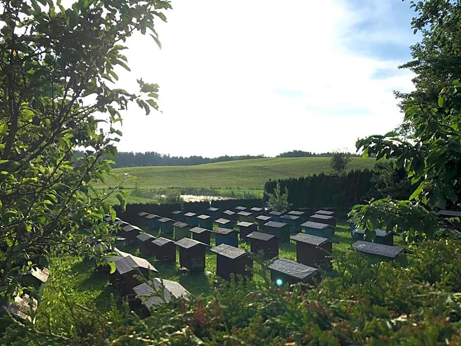 Agroturystyka Radzewicz