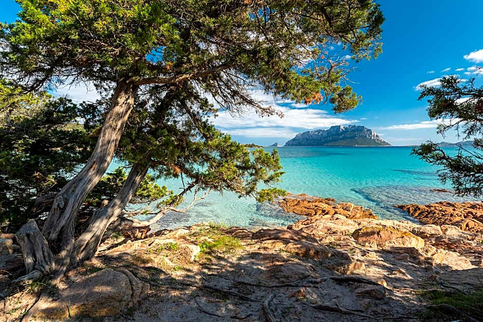 Residence Il Girasole