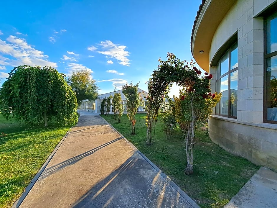 Prado de las merinas