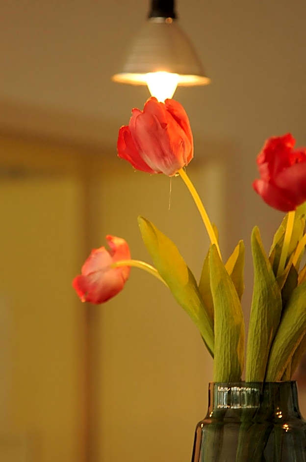 hogh Hotel Heilbronn