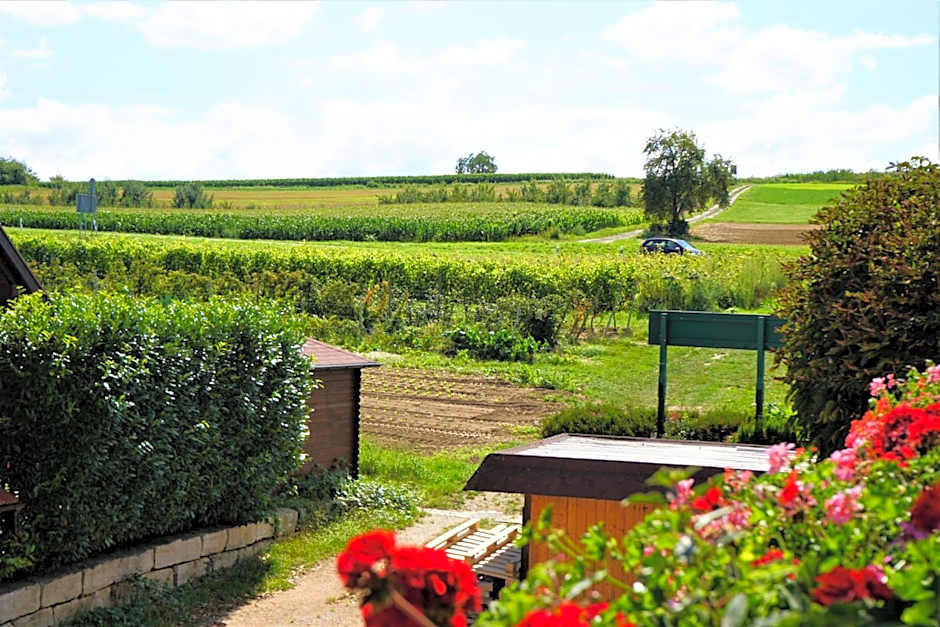 Hotel Garni Alte Post