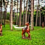 SPA Hotel Infinity Park Velingrad